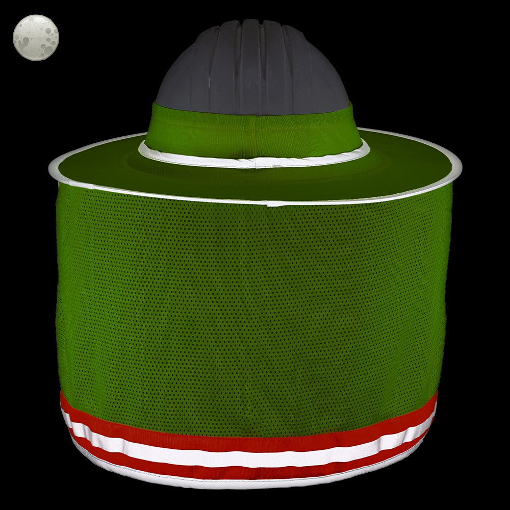 Left Image For Comparing