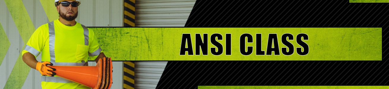 ANSI Class