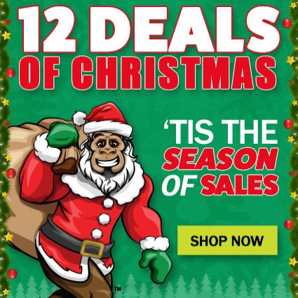 12 Deals of Christmas Tis the Season of Sales 